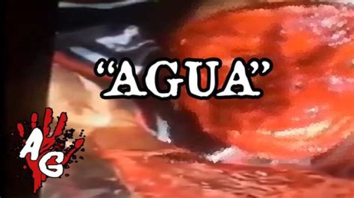 Agua Quiero Video Original: Unraveling the Mystery of a Popular Search