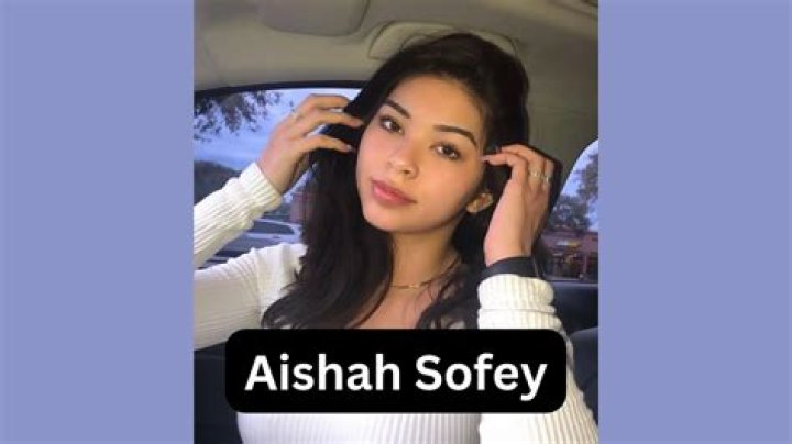 Aishah Sofey Leaks: What the Online Conversation Means for Digital Privacy