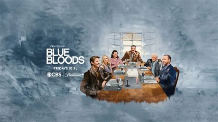 All About Blue Bloods Seasons: Your Complete Guide to the Reagan Family Saga