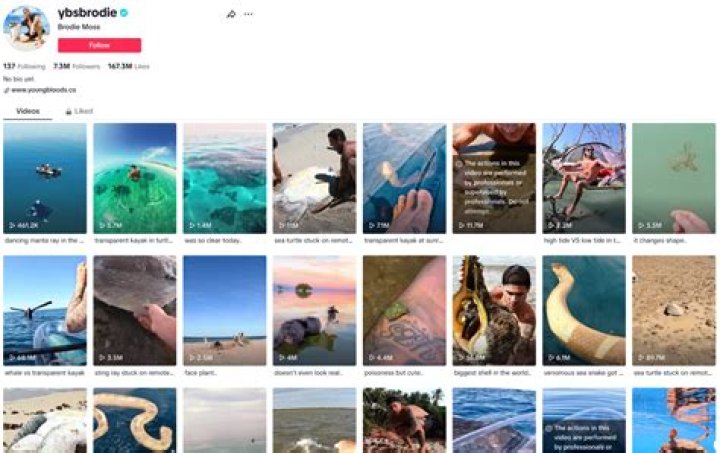 Brodie Moss Bitten: Exploring the Story Behind a Popular Search