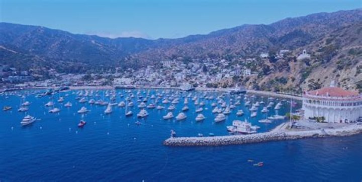 Catalina Stoltz: Unforgettable Experiences on Catalina Island and Beyond