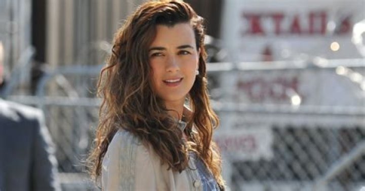 Cote de Pablo's Personal Life: A Glimpse Behind the Public Persona