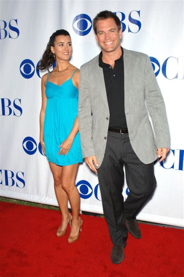 Cote de Pablo Relationship Status: What We Know Today