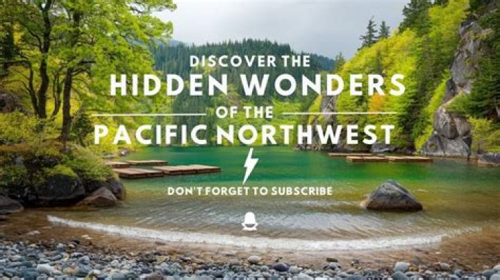 darasweetrn: Blending Seamless Collaboration with Pacific Northwest Wonders