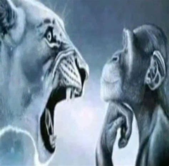 Decoding the Roar: What a Lion Yelling at a Monkey Pic Really Tells Us