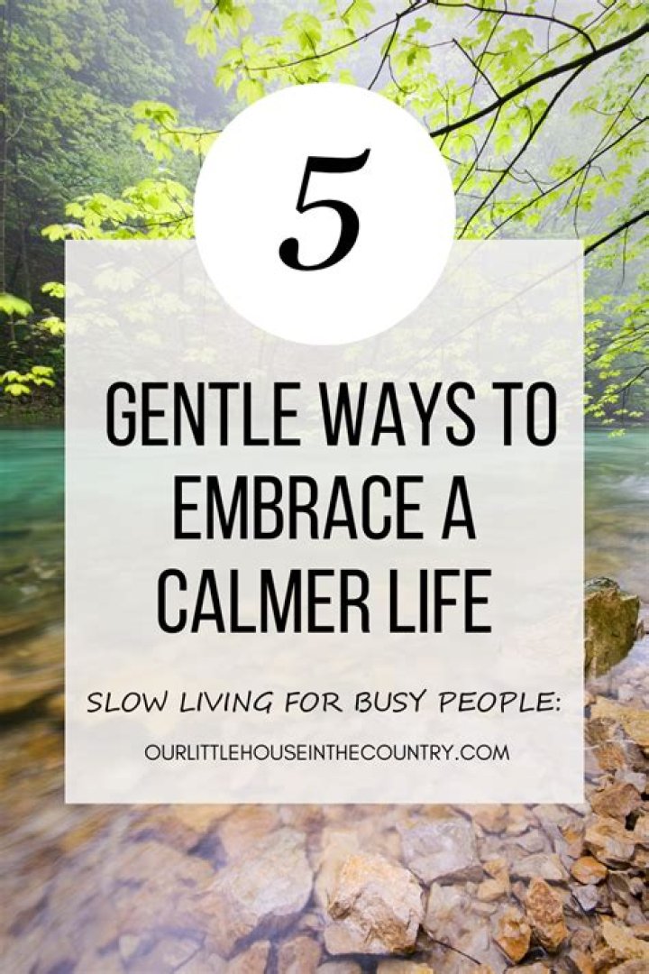 Discovering Bellegrace: Your Path to a More Gentle Way of Living