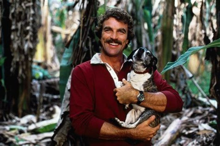 Discovering Magnum PI: The Iconic Hawaiian Investigator's Legacy