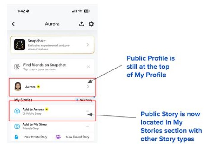 Discovering revé drew walsh: What It Takes to Uncover a Public Story