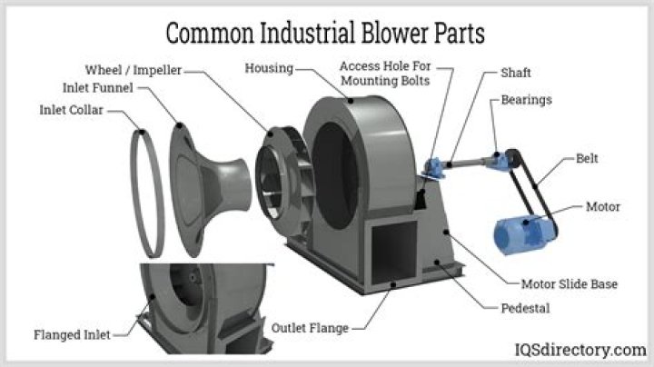 Discovering the Blowers: A Look at Automotive Performance and Style
