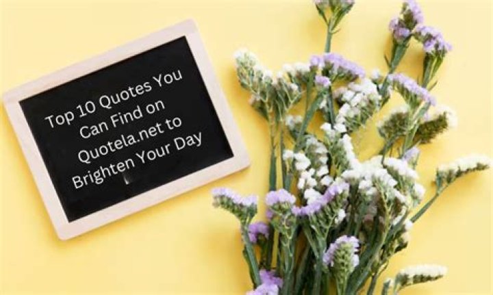 Discovering www.quotela.net: Your New Favorite Spot for Inspiring Words