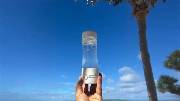 Discovering Your Own Nina Holiday: A Fresh Take on Escapes