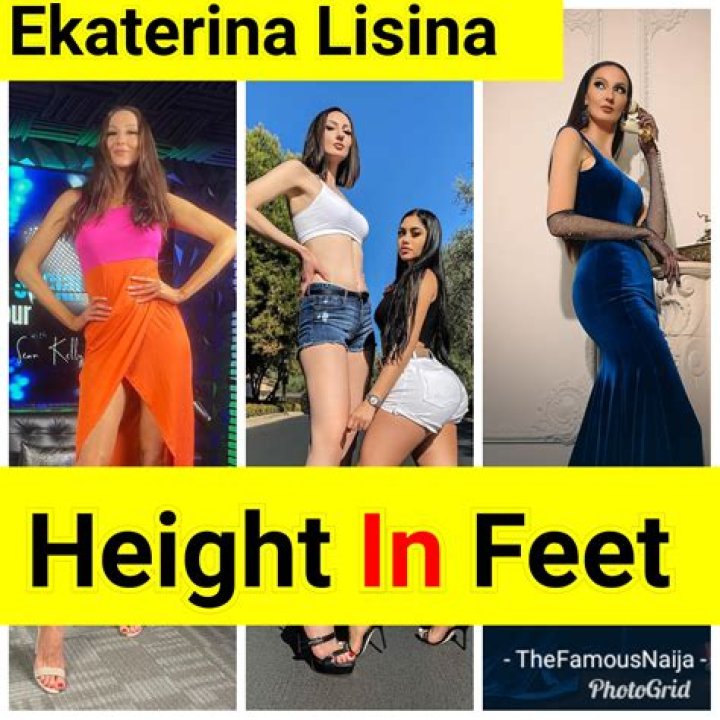 Ekaterina Lisina: The Story of the World's Tallest Model and Record Holder
