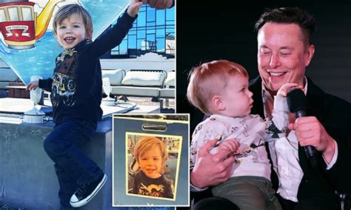 Elon Musk Saxon Musk: A Look at the Young Heir's Life