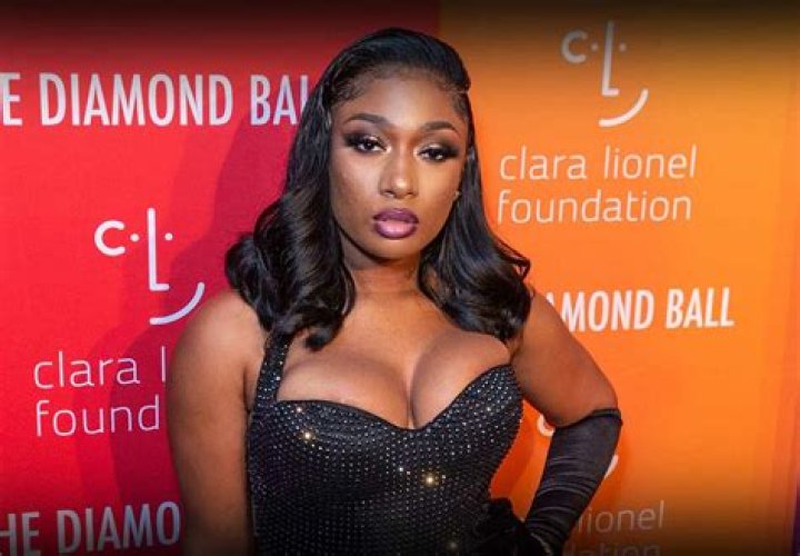 Erome Megan The Stallion: Unpacking Content Removal and User Experiences