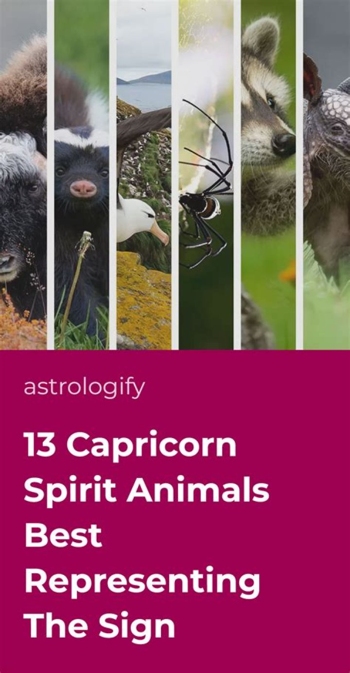 Exploring Jax Slayher Birth Chart: A Look at His Capricorn Spirit