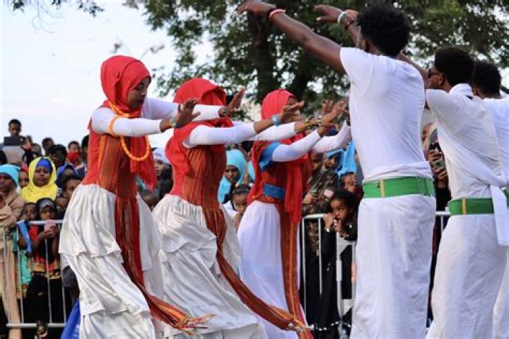 Exploring Niiko Wasmo: Understanding Somali Dance and Online Content