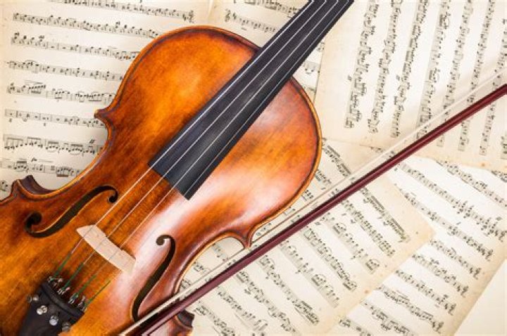Exploring the Connection: Delia Turner and the World of Violins