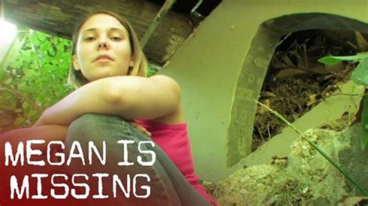 Exploring the Disturbing 'Megan Is Missing' Photos and Their Impact