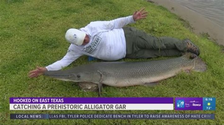 Exploring the Fascinating Gar Fish: An Ancient Predator's Story