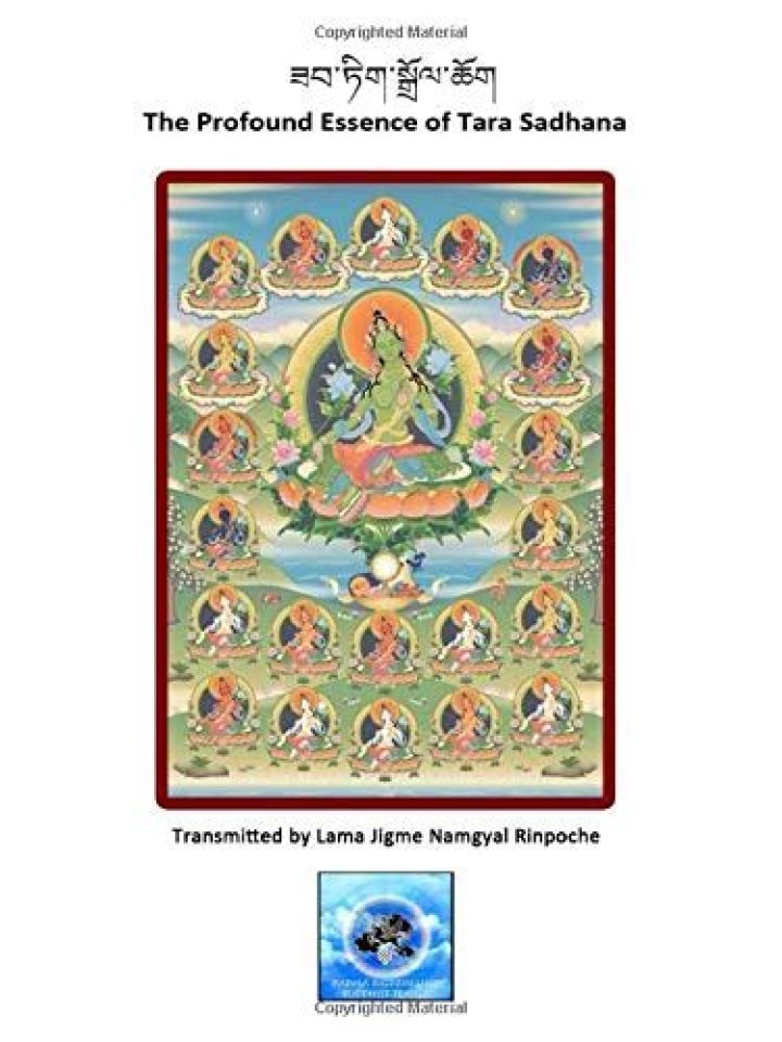 Exploring the Profound Meaning Behind Tara: A Look Beyond "Tara Ferguson"