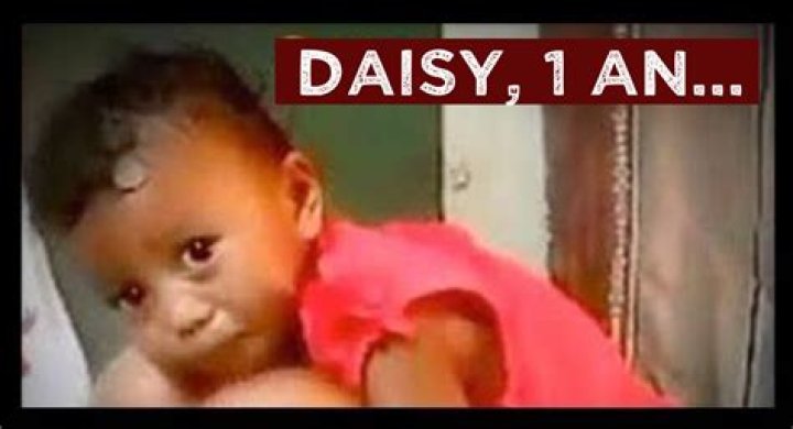 Exploring the Troubling Truth Behind the **Daisy Destruction Video**