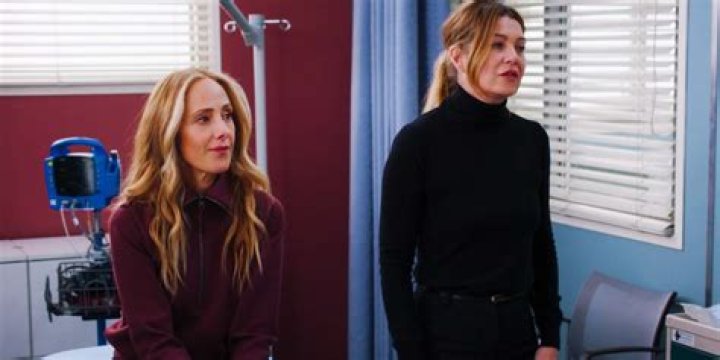 Grey's Anatomy Teddy Altman: A Deep Dive into a Fan Favorite