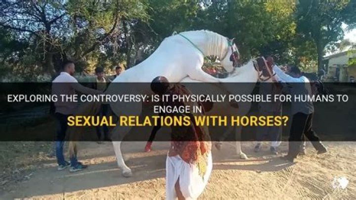 Horse Sex