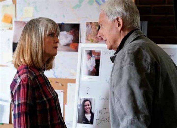 How Did Pam Dawber and Mark Harmon Meet? The Enduring Love Story