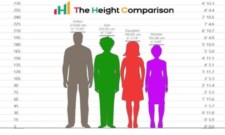 How Tall is Steiny? What We Know About His Reported Height