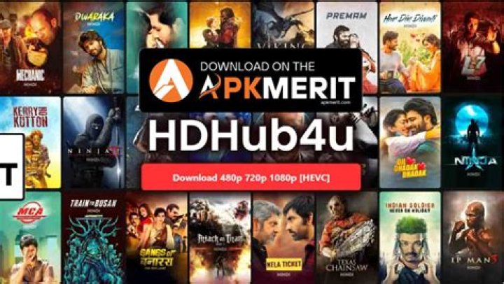 Is hdhub4u.com.pk the Right Place for Your Downloads?