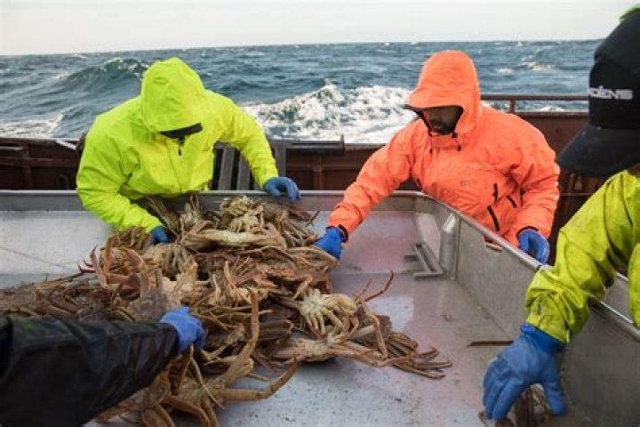 Jake Harris Deadliest Catch Wife: Unraveling the Personal Side of a Bering Sea Fisherman