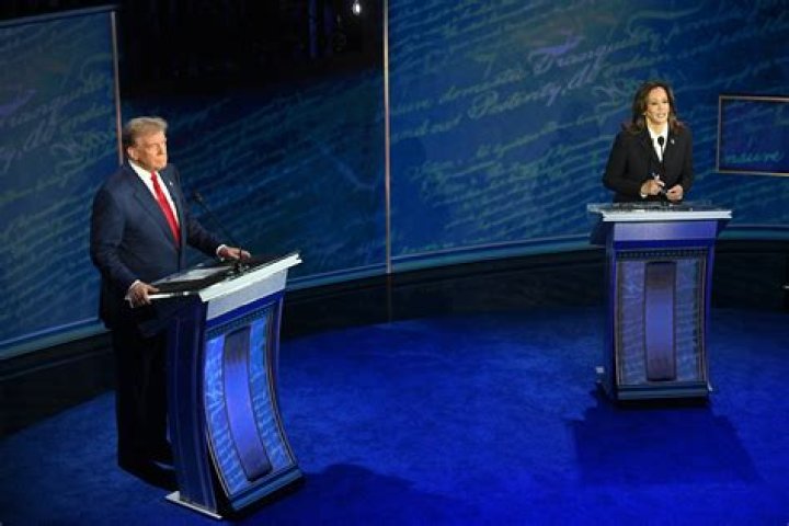 Lacy Larson: A Look at the Online Debates and Celebrity Comparisons
