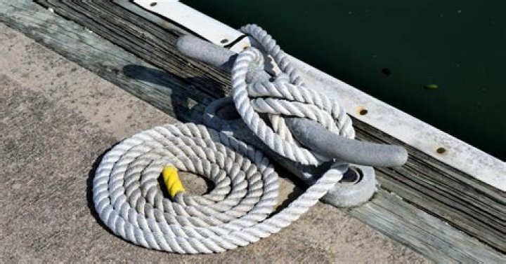 Learning the Ropes: Your Guide to the Erome School of Understanding
