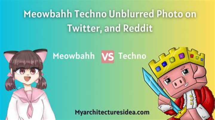 Meowbahh Technoblade Art Hindi: ऑनलाइन कला और विवादों को समझना