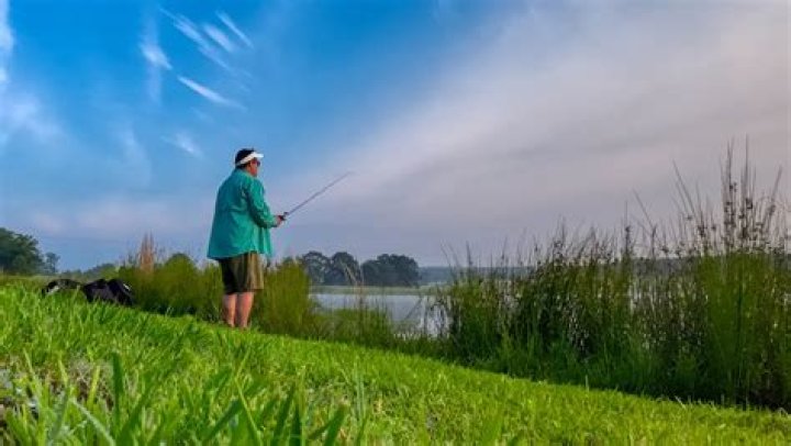 Olivia the Challenge: Unlocking the Coastal Fishing Secrets
