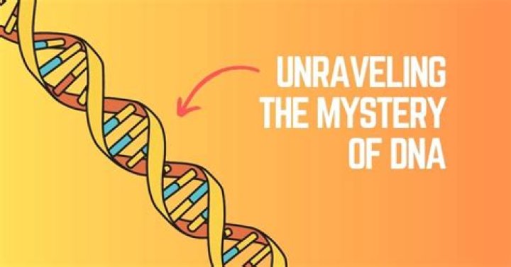 Orlando & Anderson: Unraveling the Mysteries & Connections