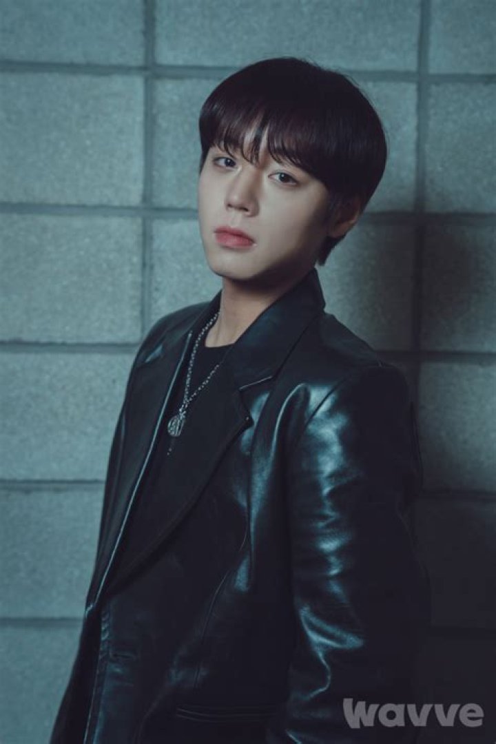 Park Jihoon: From Child Actor to Solo Star, His Journey So Far