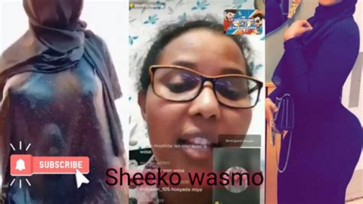 Sheeko Wasmo