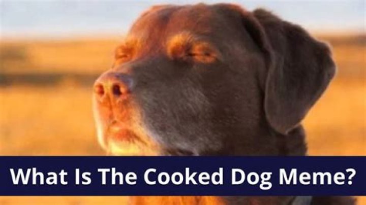 The Dog Closing Eyes Meme: What Makes This Image So Relatable?