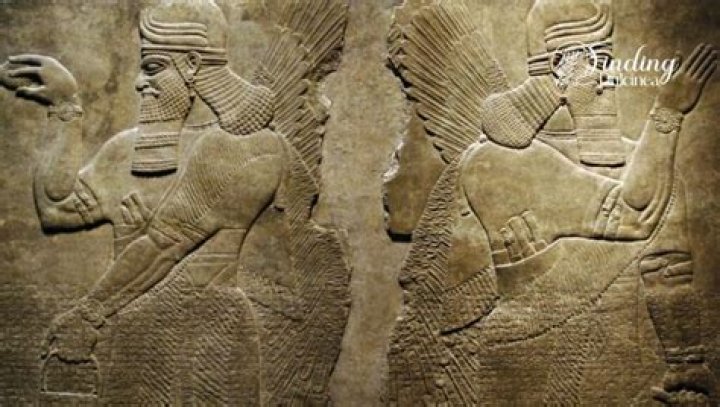 The Enduring Influence of a Father Figure on a "Nina": Insights and Reflections