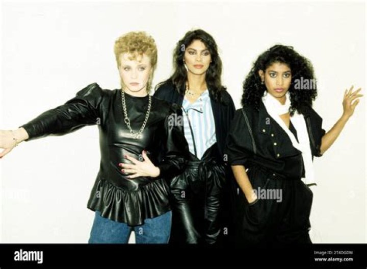 The Enduring Spark of Vanity (Singer): A Look Back at Denise Matthews' Legacy