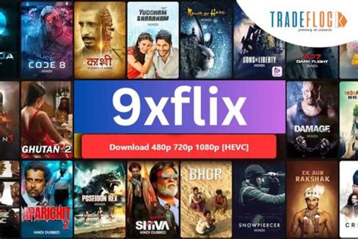 Understanding 9x Movies Download: What You Really Need to Know