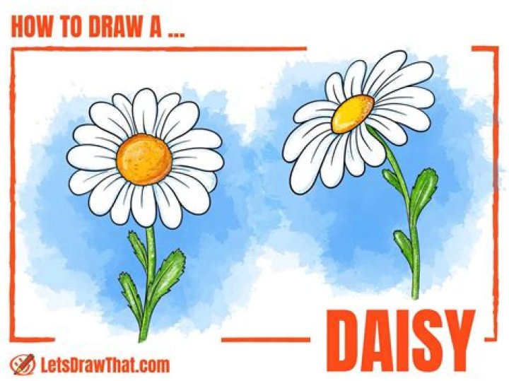 Understanding Daisies Destruction: Keeping Your Garden Cheerful