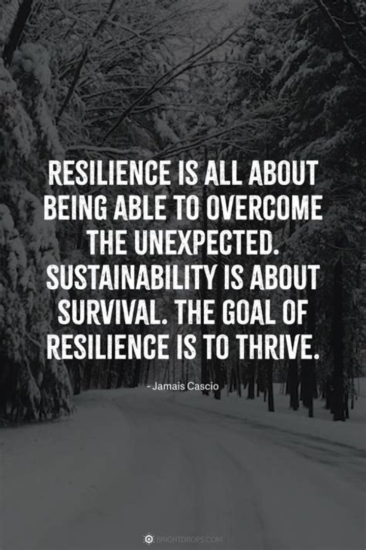 Understanding the 'Trouble Rapper': Challenges, Art, and Resilience