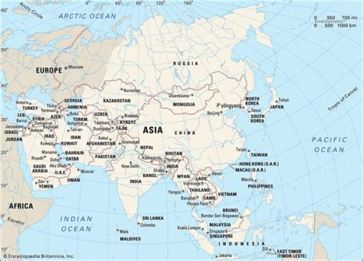 Unpacking the Asia Belle Bio: A Closer Look at the World's Largest Continent