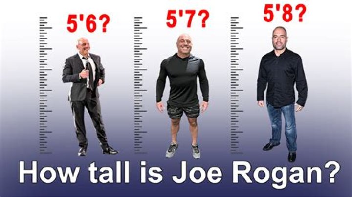 Unpacking the Joe Rogan Height Debate: What's the Real Story?
