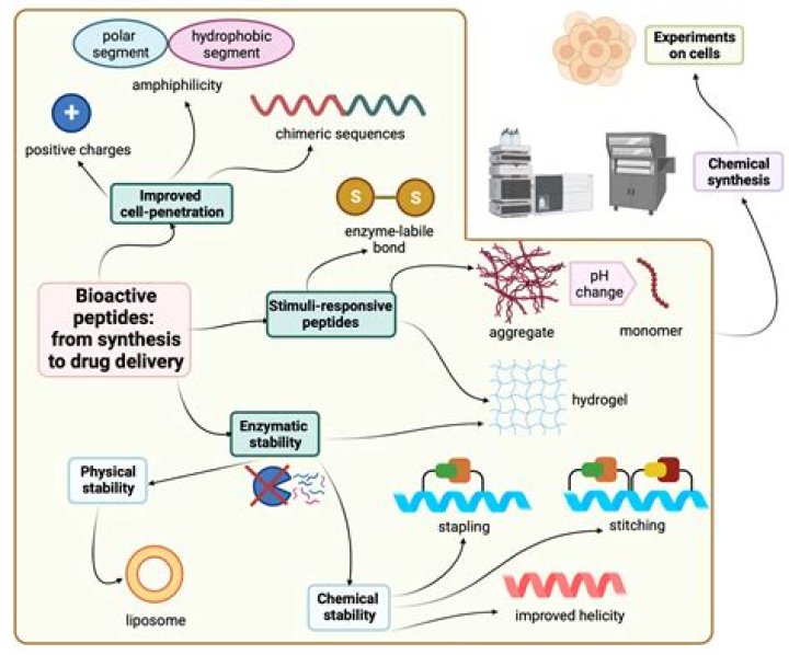 Unveiling Peptide Sciences: Your Guide to Research Peptides and Their Role