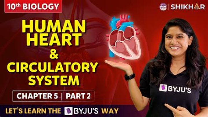 Unveiling the Weight: Exploring **Raw Confessions** and the Human Heart