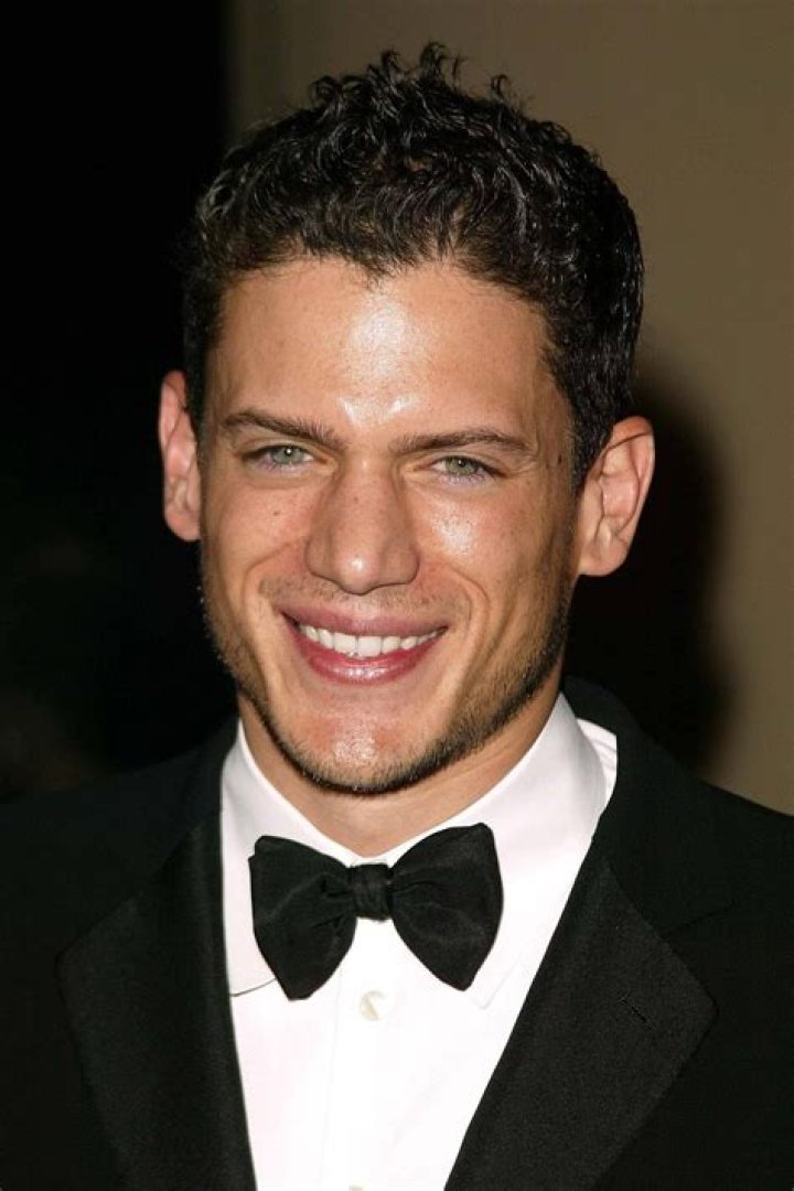 Wentworth Miller Net Worth 2024: A Look at the Actor's Financial Standing