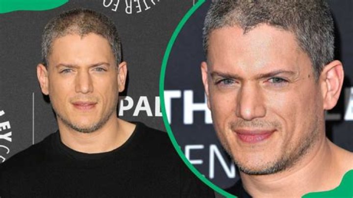 Wentworth Miller Partner: What We Know About His Personal Life